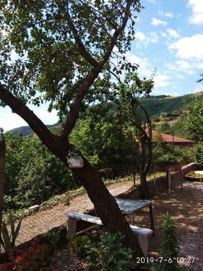 Nnn Guest House Gorisz Kültér fotó